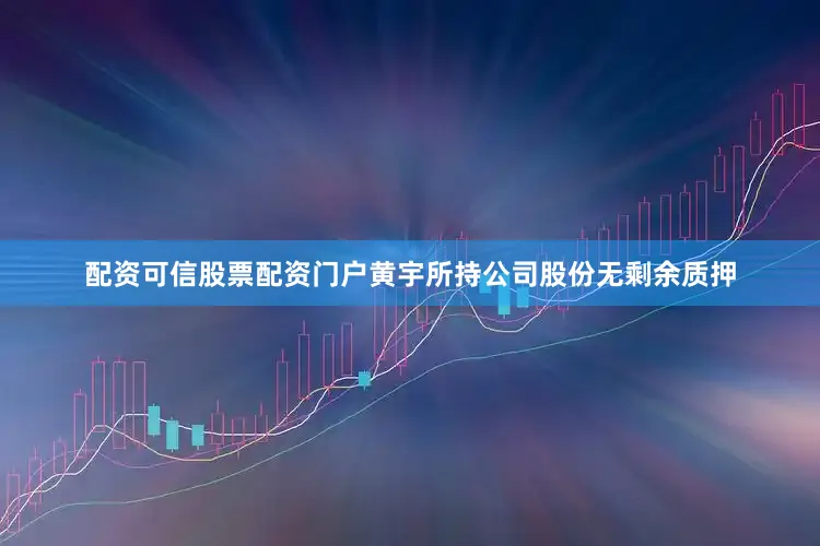 配资可信股票配资门户黄宇所持公司股份无剩余质押