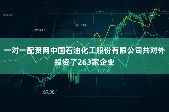 一对一配资网中国石油化工股份有限公司共对外投资了263家企业